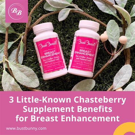 3 Chasteberry Benefits For Breast Enhancement Bust Bunny