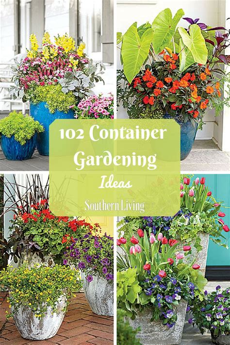 122 Container Gardening Ideas Beautiful Container