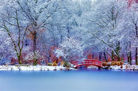 Wallpaper Nature Reflection Snow Winter Road Branch Ice Frost