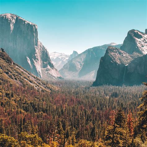 2932x2932 Forest Mountain Yosemite Valley 5k Ipad Pro Retina Display Hd