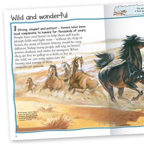 100 Facts Horses And Ponies Top Horse Book For Kids Miles Kelly