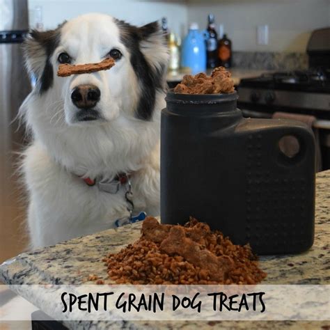 Spent Grain Dog Treats • Dogs on Tap | Recipe | Spent 