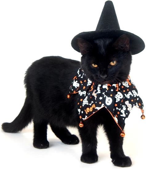 Cute Halloween Costumes For Cats Image Gallery