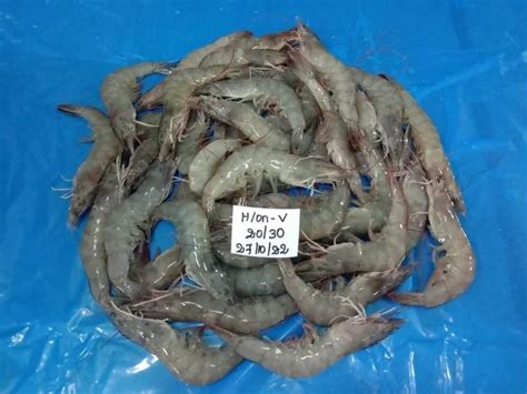 Head On Vannamei Grade Shrimps Prawns At Best Price In Chennai