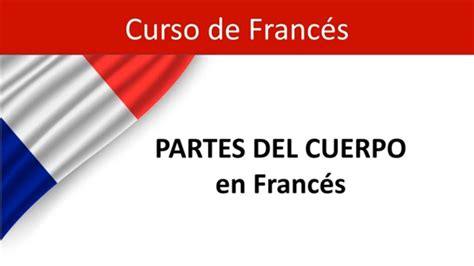 Curso De Francés Vocabulario Partes Del Cuerpo En Francés Youtube