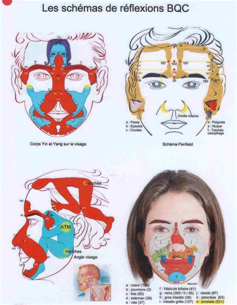 Dien Chan Face Reflexology Charts