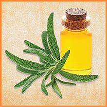 Kesh king scalp and hair medicinal oil. Buy Indulekha Bringha Shampoo, Ayurvedic Medicine For Hair ...