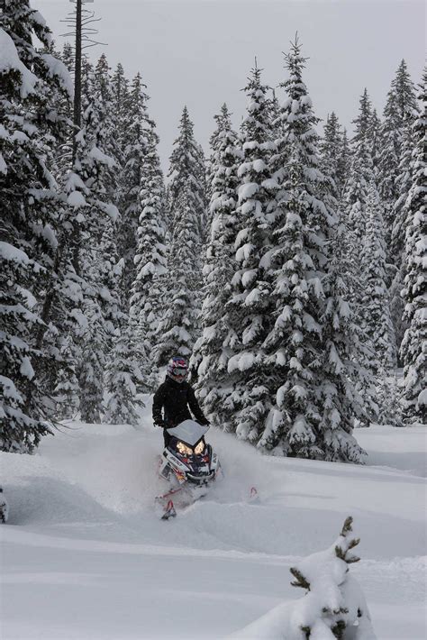 Back Country Travelers Snowmobile Rentals West Yellowstone Montana