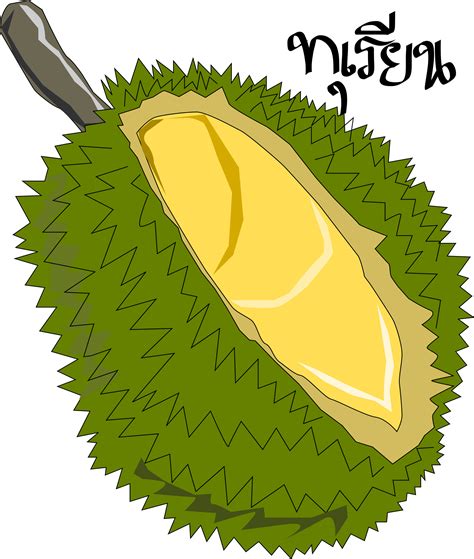 Big Durian Clipart 20 Free Cliparts Download Images On Clipground 2023