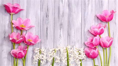 Posted by admin posted on july 06, 2019 with no comments. Flowers: Spring Flowers Hyacinth Wood Tulips Shutterstock ...