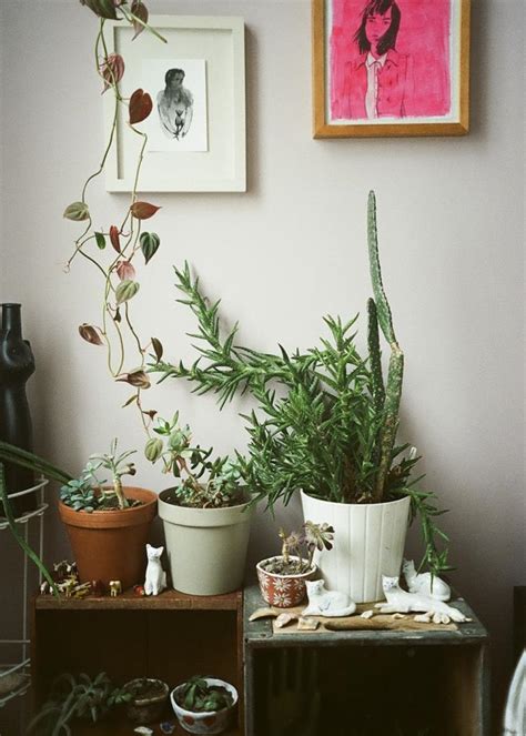 See more ideas about home, bedroom, bedroom inspirations. bedroom Dream Home plants succulents Leah Reena Goren leah ...