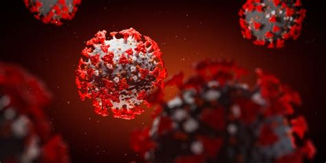 Researchers Hypothesize Coronavirus Immunity From Dengue Exposure Fox