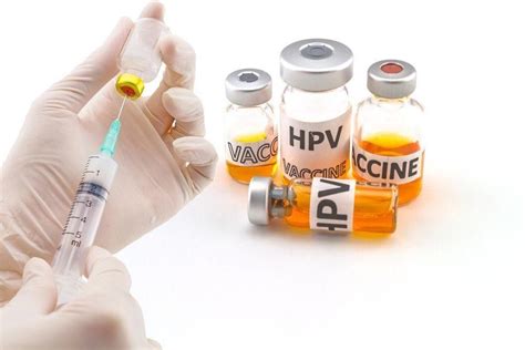 We did not find results for: Vaksin HPV Pencegah Kanker Serviks. Gak Cuma Cewek, Cowok ...