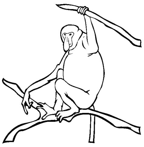 Free printable monkey coloring pages. Proboscis Monkey coloring page - Animals Town - animals ...