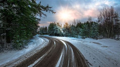 🔥 Winter Forest Tree Road Background Full Hd Cbeditz