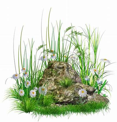 Grass Clipart Flowers Stone Stones Rumput Grounds