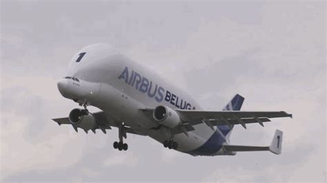 Airbuss Crazy Looking Beluga Transport Plane Just Turned 20 Years Old
