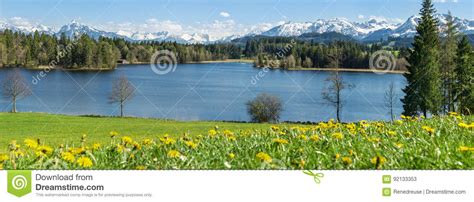 Beautiful Flower Meadow At Lake Shore And Snow Covered Mountains Stock