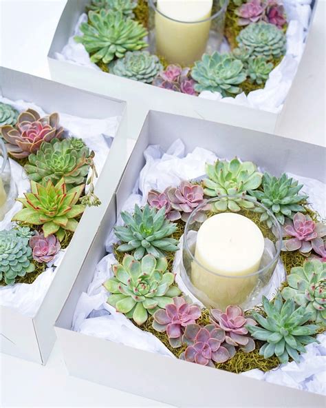 See more ideas about table centerpieces, coffee table centerpieces, centerpieces. Succulent Wreath Centerpieces by Dalla Vita, Christmas ...