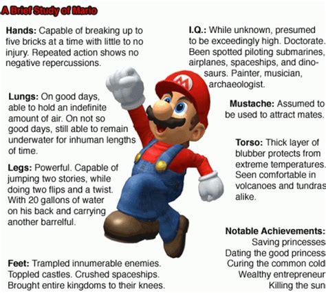 Super Mario True Facts  Wiffle