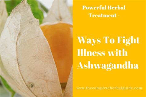 10 Proven Health Benefits Of Ashwagandha Health And Natural Healing Tips