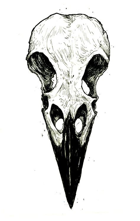 Las 10 Mejores Ideas E Inspiración Sobre Bird Skull Tattoo