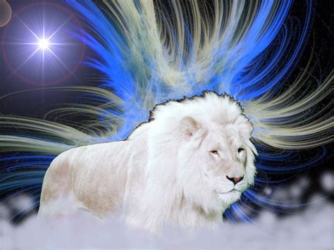 White Lions Wallpapers Wallpaper Cave