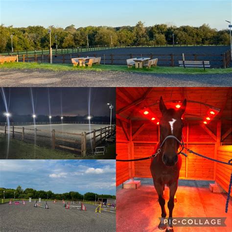 Bevexe Fach Equestrian | Swansea