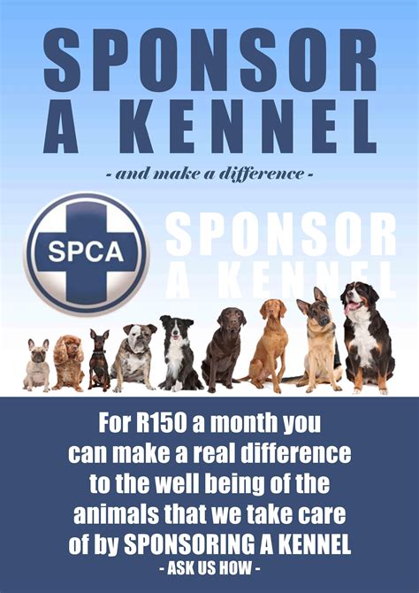Sponsor a Kennel at the Pietermaritzburg SPCA | Spca, Kennel, Outreach