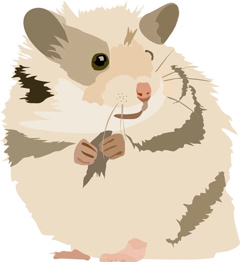 Transparent Hamster Cartoon Png Bathroom Cartoon Png Download 1042