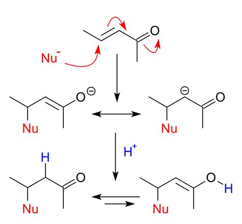 Nucleophilic Conjugate Addition Alchetron The Free Social Encyclopedia