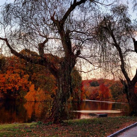 Van Cortlandt Park Bronx Ny Fall 2013 Nyc Park Bronx Nyc Bronx