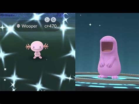 WE CAUGHT SHINY WOOPER POKEMON GO SHINY WOOPER EVOLVES INTO SHINY QUAGSIRE YouTube