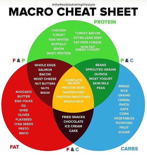 New To Tracking Your Macros Heres A Cheat Sheet To Help You Know