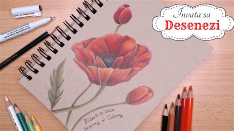 Urmareste umbrele de pe fiecare petala si deseneaza in creion fiecare detaliu. Un Peisaj Cu Trandafiri In Creion : Tablou C00488 ...