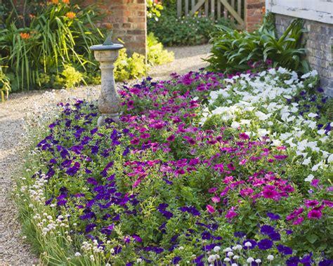 Victorian Garden Design 5 Key Elements For Your Backyard Homes And Gardens