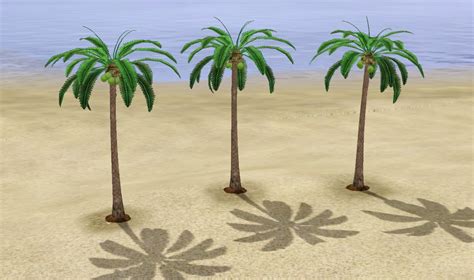 Sims 4 Leaning Palm Tree Coconut Tree Coconut Palm Sims 3 Coconut