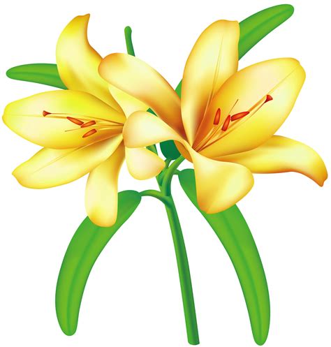 Free Yellow Flower Clipart Download Free Yellow Flower Clipart Png