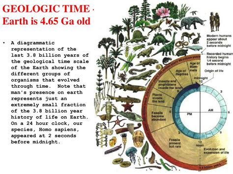 Geological History Of Earth Ppt The Earth Images Revimageorg