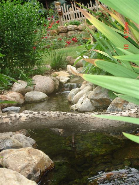 My Pond Front Yard Water Features Permaculture