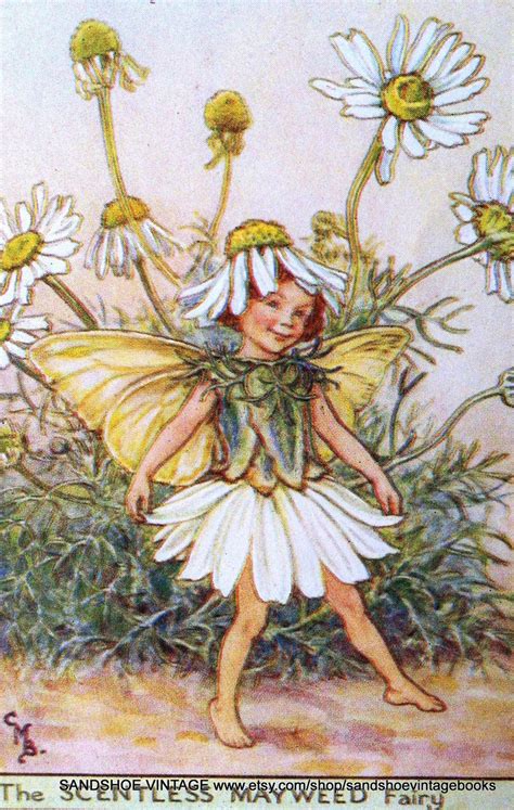On Hold S Fairy Cicely Mary Barker Print Ideal For Framing Etsy