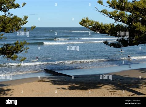 Surfing At Front Beach Torquay Victoria Australia Stock Photo Alamy