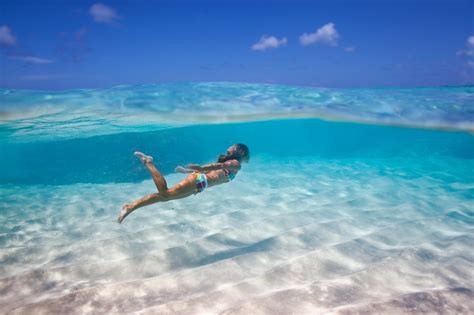 Interesting Photo Of The Day Crystal Clear Swimming