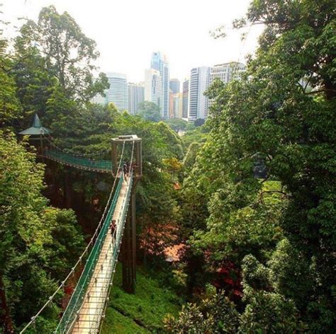Ayuh Travel On Twitter Kl Forest Eco Park Bukit Nanas Kuala Lumpur