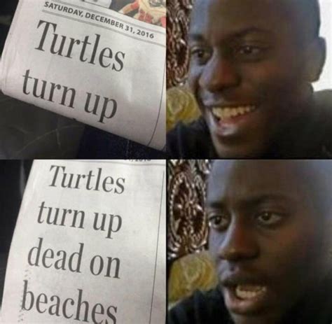 Turtles Turn Up Meme Guy