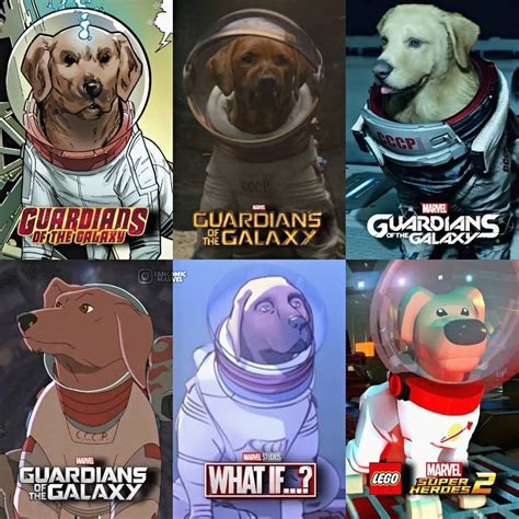On Instagram Just A Cosmo The Space Dog Appreciation