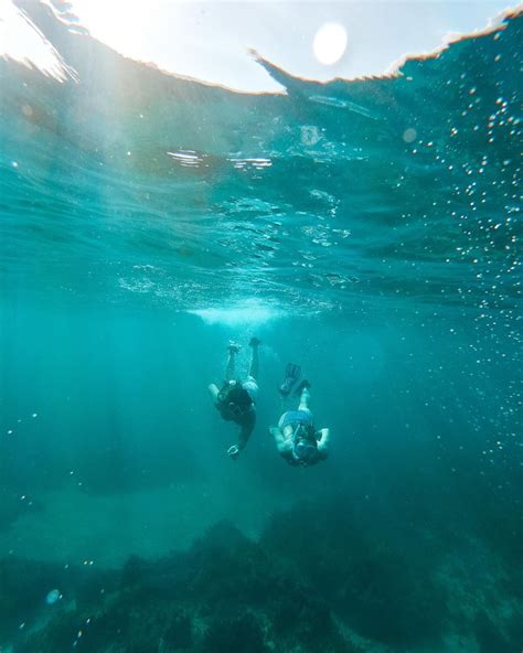 Snorkeling In Jamaica Snorkeling Underwater Photography Jamaica