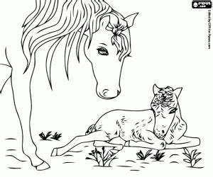 По цене по новизне по популярности. Horses coloring pages printable games