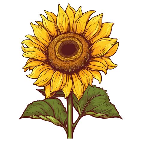 Watercolor Sunflower Flower Tropical Sunflower Sunflower Sticker Generative Ai 26158856 Png