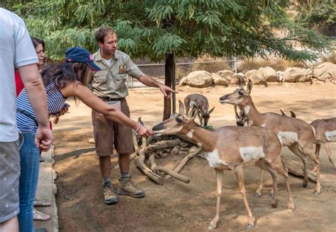The Los Angeles Zoo Launches Behind The Scenes Tours